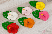 Hibiscus Flowers