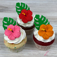 Hibiscus Flowers