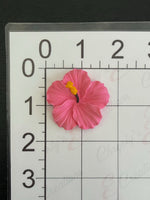 Hibiscus Flowers